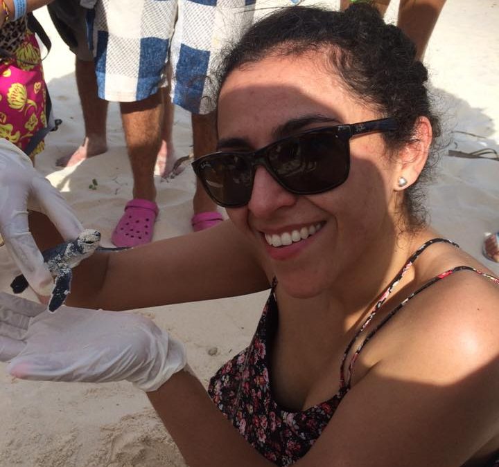 Cozumel Turtles Hatching