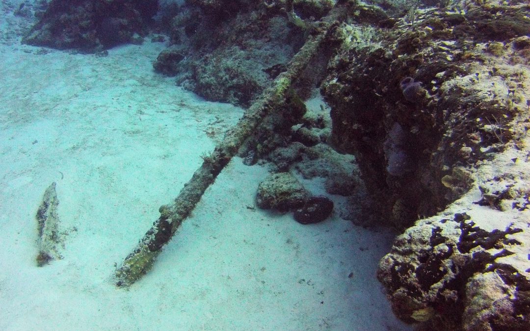 March 8, 2018 AM Dive Log