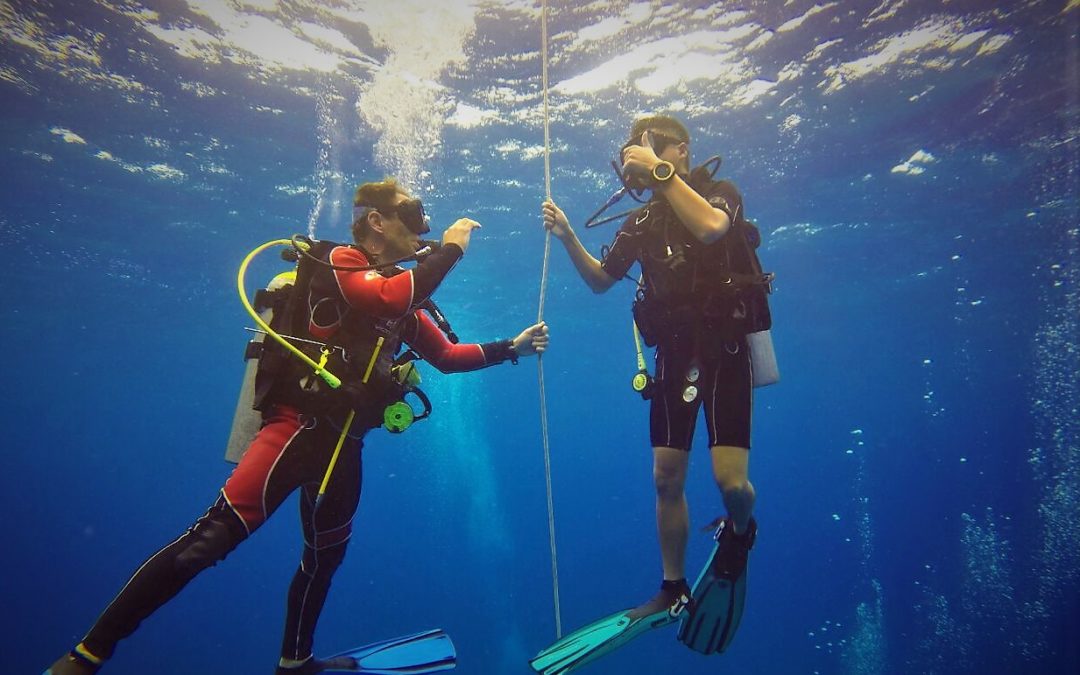 March 17, 2018 AM/PM Dive Log