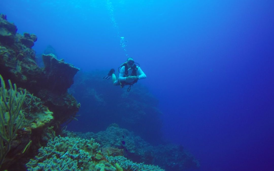 May 2, 2018 PM Dive Log