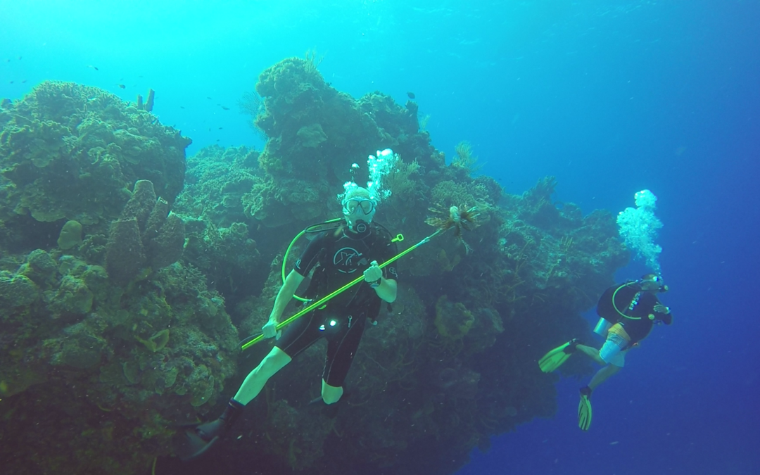 Hunting Lionfish: Unleash Your Inner Warrior!