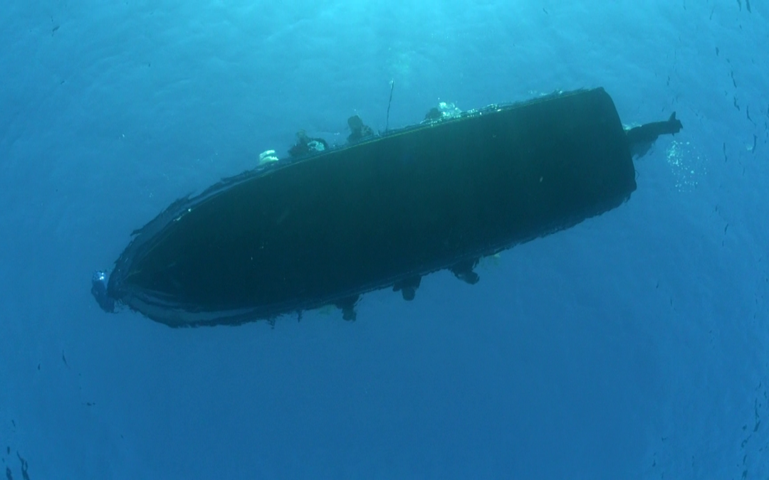 April 24, 2018 AM Dive Log
