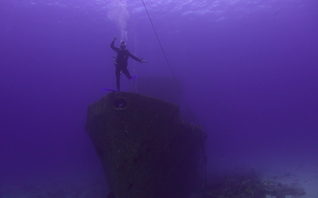 March 29, 2018 PM / NT Dive Log