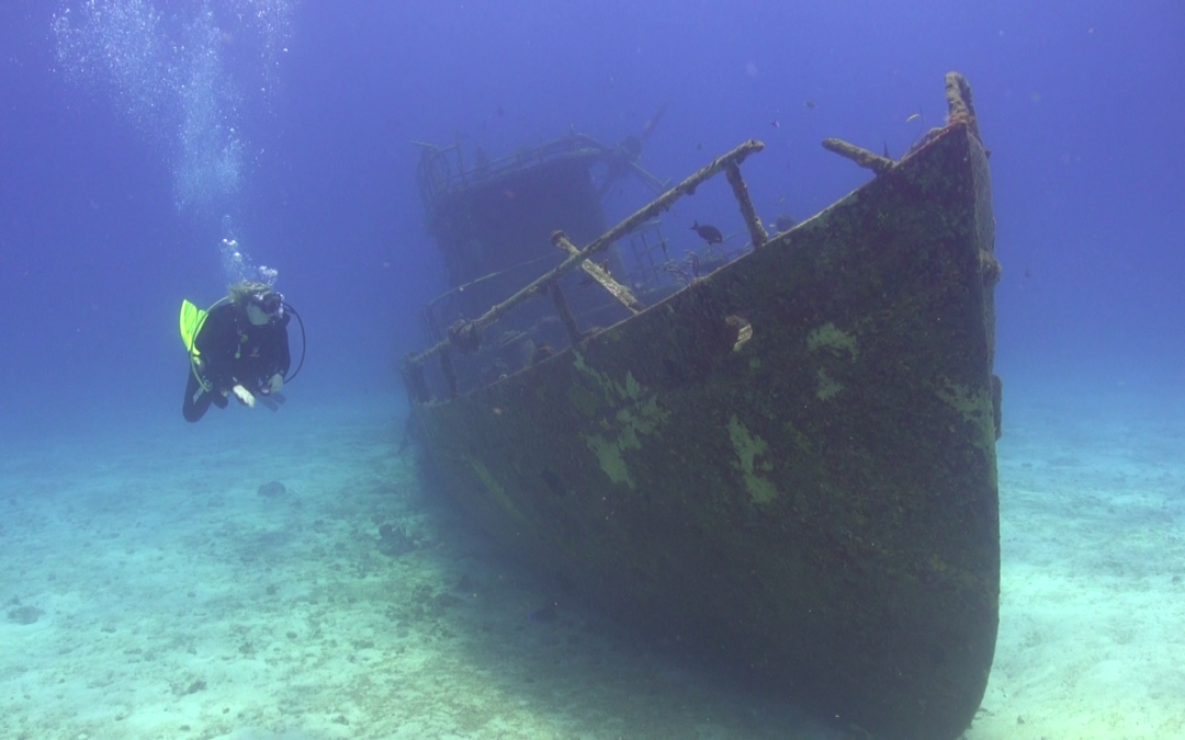Daily Dive Log June 3 – 9, 2018